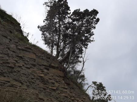 Plaz na pešpoti Piran Fiesa  (20)